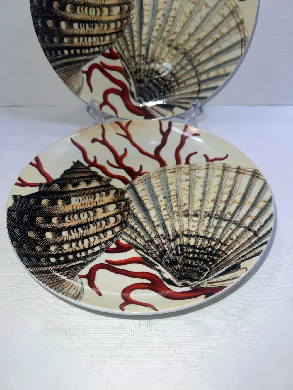 🔥🔥🔥 Pottery Barn Coastal Curiosity Salad/Dessert Plates Red Coral Seashells Set